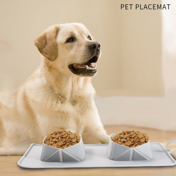 Silicone Outdoor Folding Pet Bowl