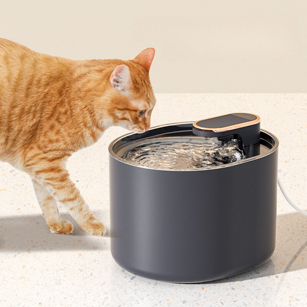 Pet Smart Drinking Fountain With 1 Filter