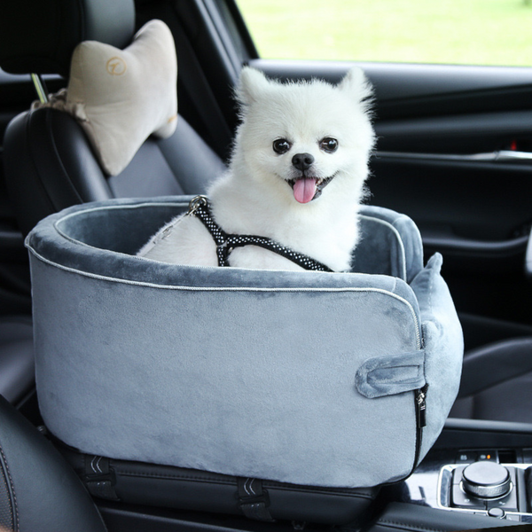 Transporteur de voiture interactif pour petit chien 