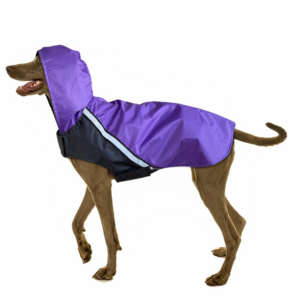 Dog Raincoat