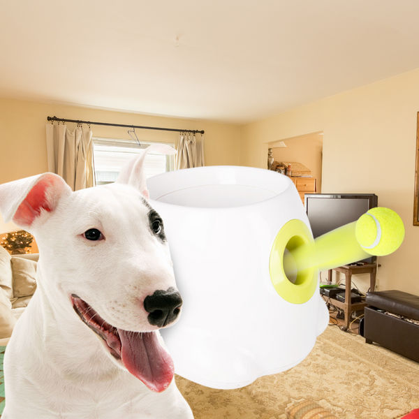 Mini Tennis Ball Launcher for Dogs