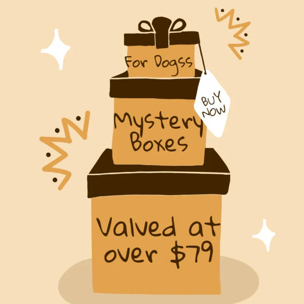 Dog Mystery Box