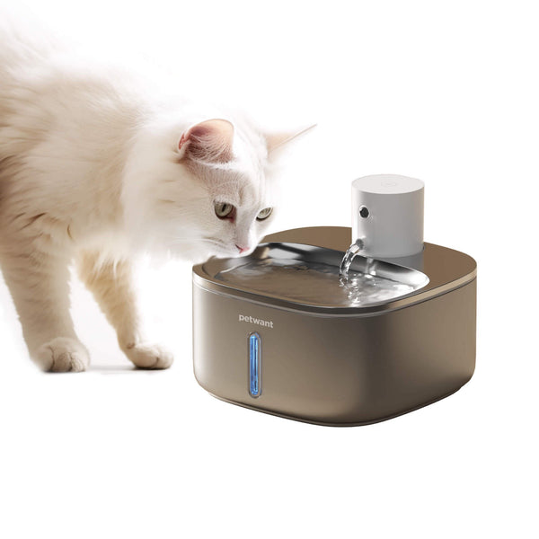 Cordless Pet Water Fountain(With 3 Filter&3 Water pump sponge）