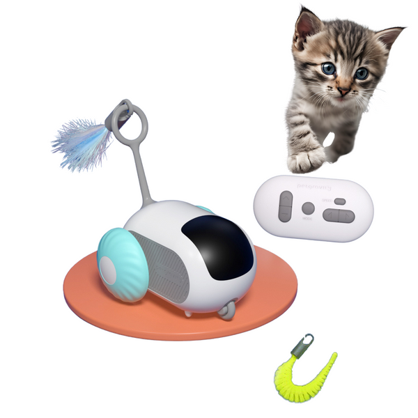 Cat Toys for Indoor Cats, Smart Interactive Cat Toy with 2-Speed Adjustment, Remote Control & USB Rechargeable Automatic Cat Exercise Toys for Bored Indoor Adult Cats Kittens