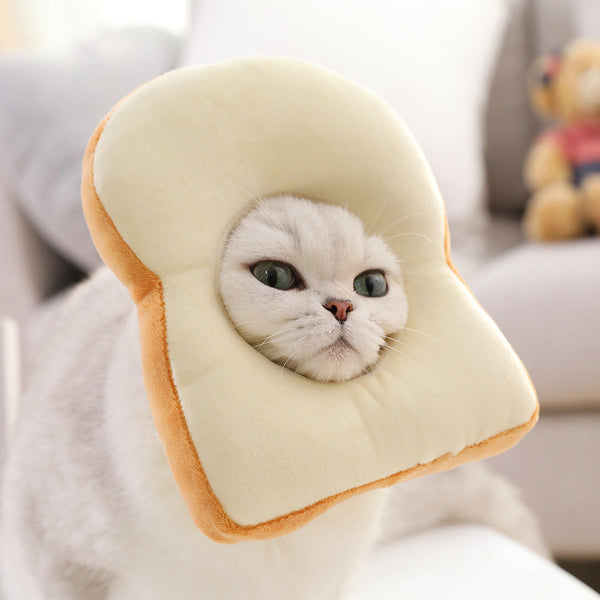 Kitty Toast Headgear Pet Headdress